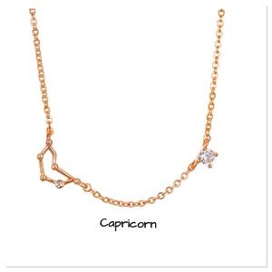 🛑 18K Rose Gold Zodiac Diamond Necklace